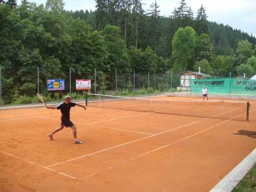Tenis