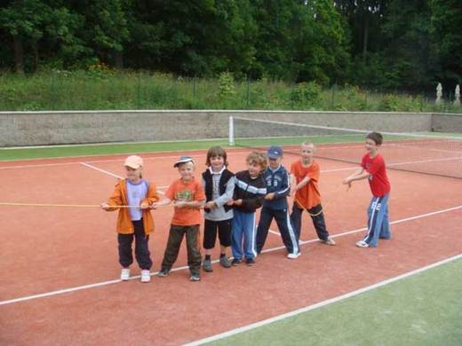 Tenis
