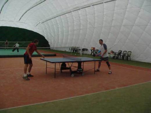 Tenis